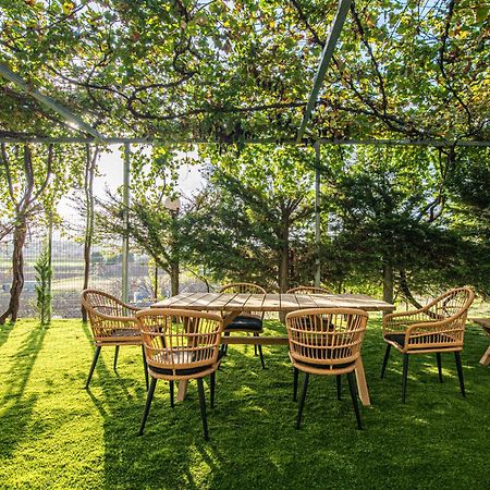 Masticha Apartment Oinofyta エクステリア 写真