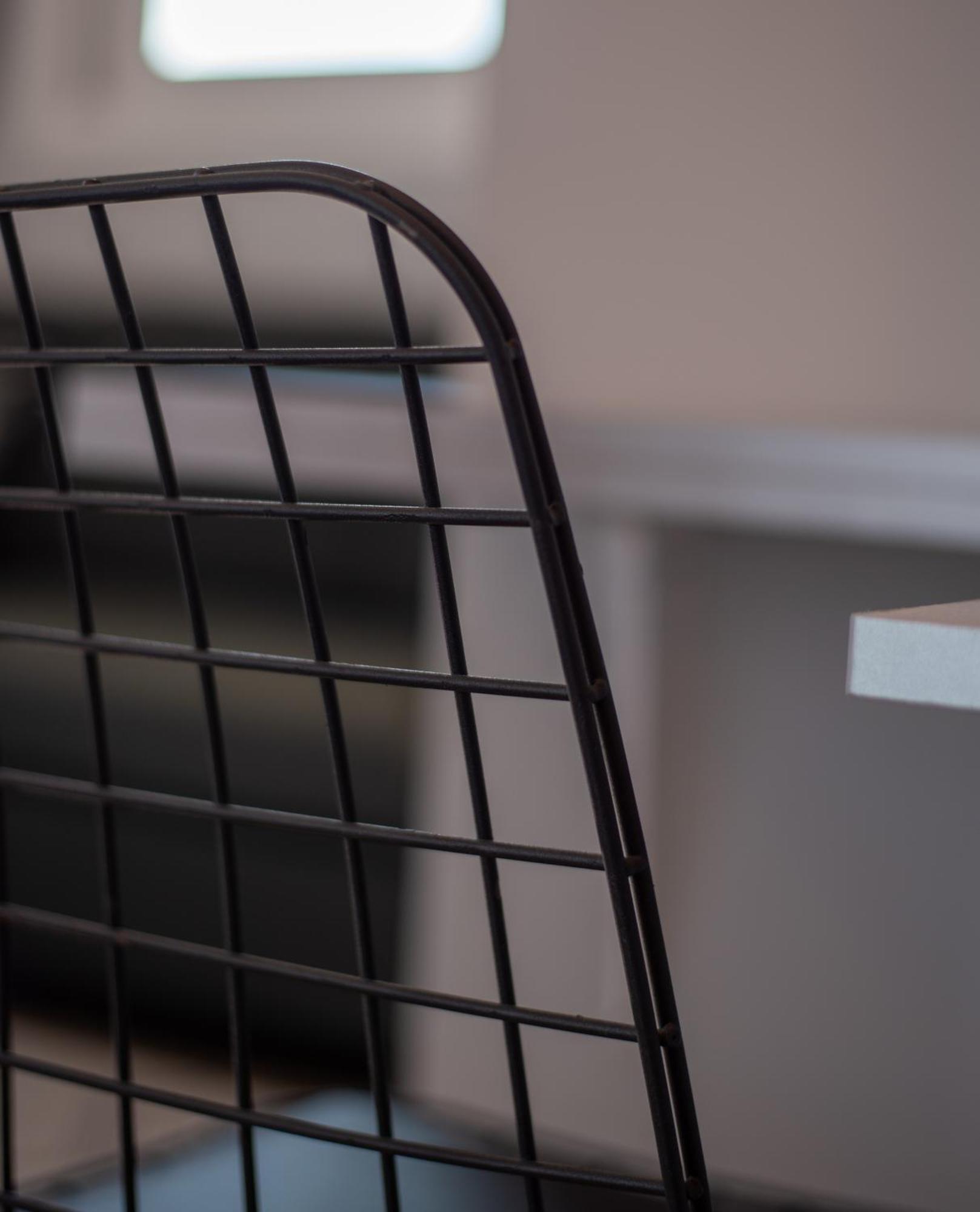 Masticha Apartment Oinofyta エクステリア 写真